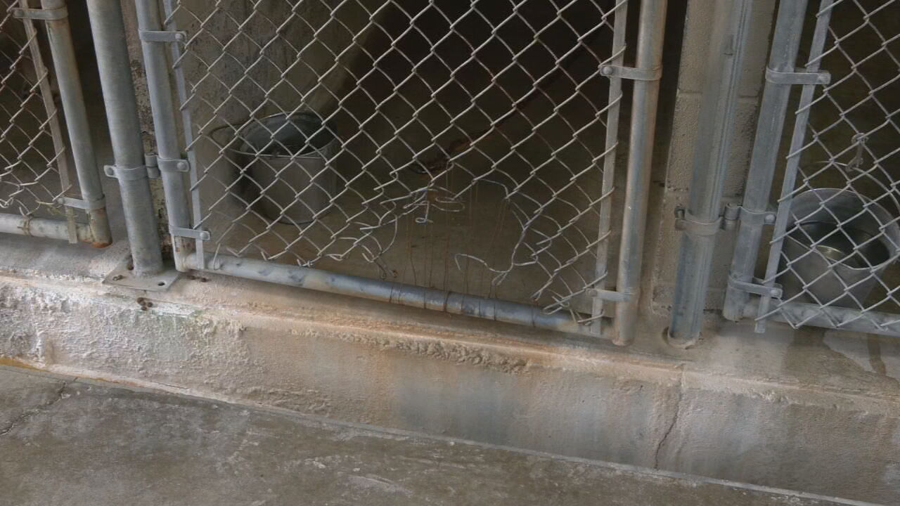 Oldham County Animal Shelter